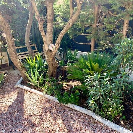 Charmante Villa Avec Une Ame. Pignan Exteriér fotografie