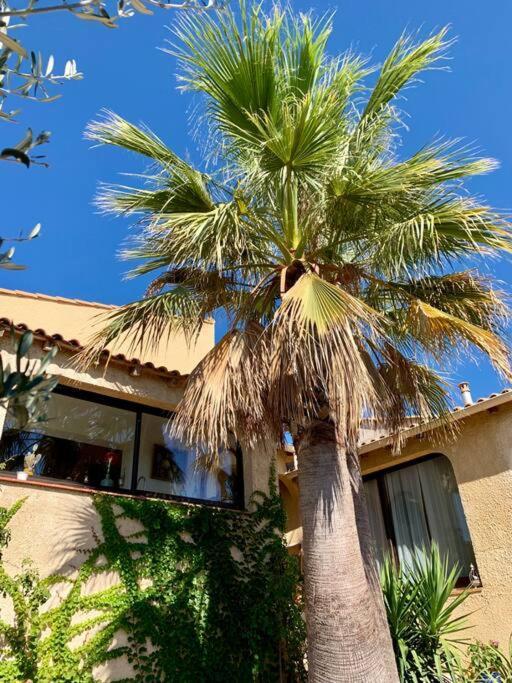 Charmante Villa Avec Une Ame. Pignan Exteriér fotografie