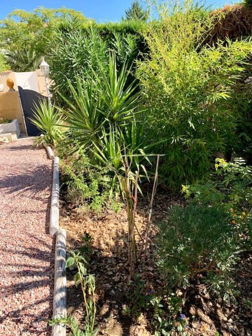 Charmante Villa Avec Une Ame. Pignan Exteriér fotografie