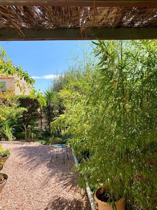 Charmante Villa Avec Une Ame. Pignan Exteriér fotografie